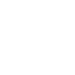 robot (2)